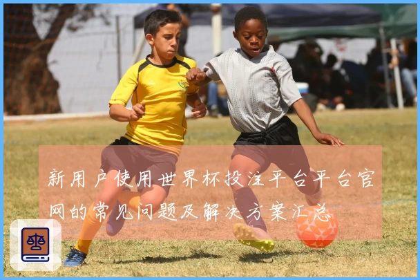 新用户使用世界杯投注平台平台官网的常见问题及解决方案汇总