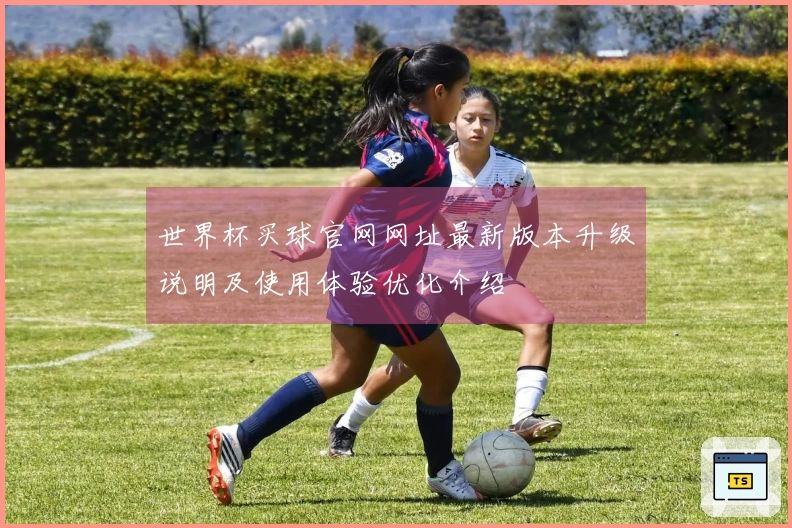 世界杯买球官网网址最新版本升级说明及使用体验优化介绍