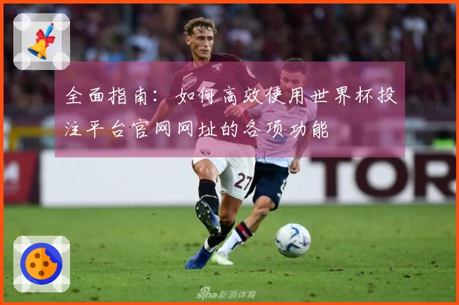 全面指南：如何高效使用世界杯投注平台官网网址的各项功能